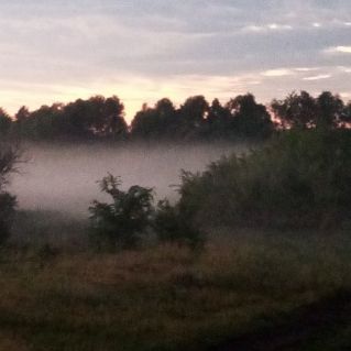 Летний туман