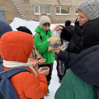 Покормите птиц зимой!