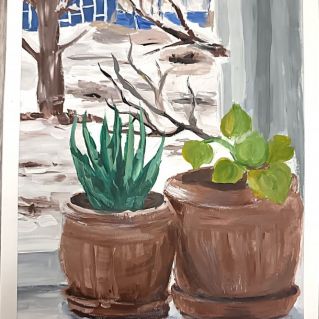 Зима за окном