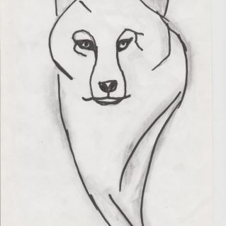 КРАСОТА ВОКРУГ НАС