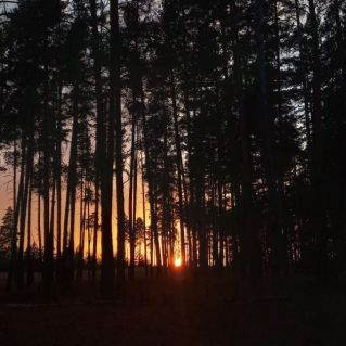 Природное вдохновение