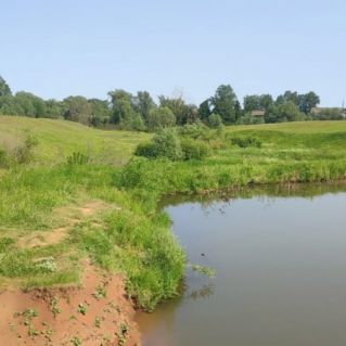 Хорошо в деревне летом!