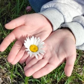 ""Держу в руках маленькое солнышко"