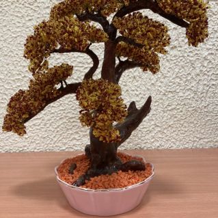 "Осенний бонсай"