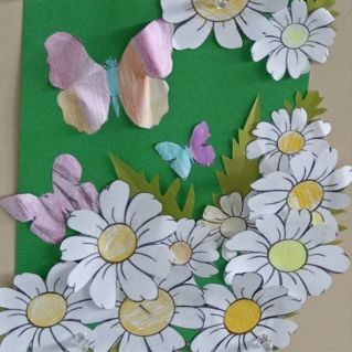 Семейство ромашек