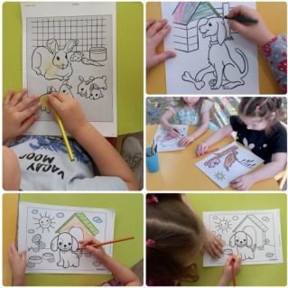 Моё любимое животное