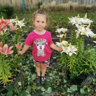 Летняя пора