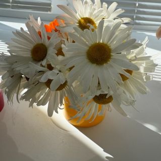 "Символ семьи"