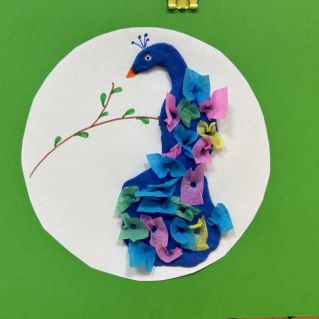 Птица мечты