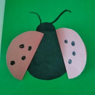 Весёлая божья коровка