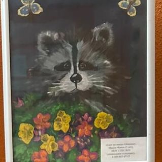 Я люблю енотиков