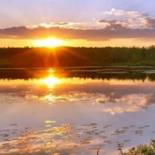 "У природы разное лицо" Фотоконкурс