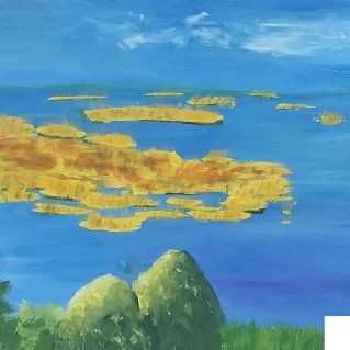 Мой край родной "Бормашевое озеро"