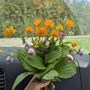 Букет сибири