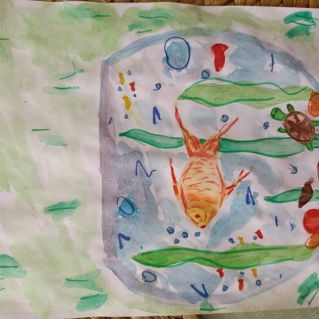 Морская красавица