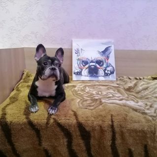 Подружка моя