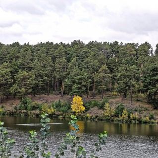 Вот и сентябрь наступил...