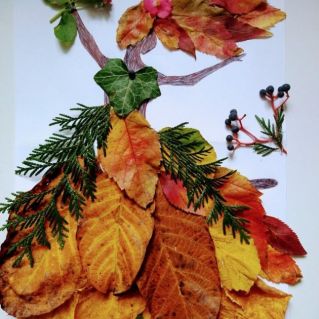 "Щедрые  дары осени"