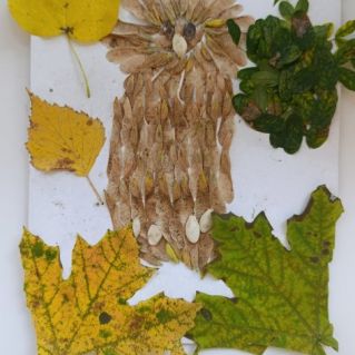 "Совунья осенняя"