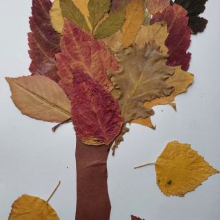 Осеннее Чудо-дерево