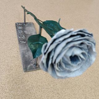 "Белая роза".