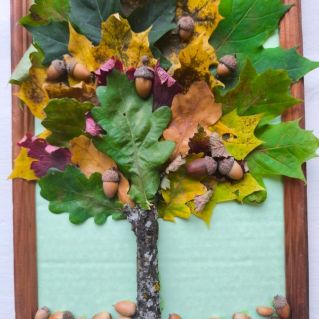 "Осенние краски леса"