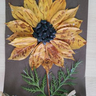 Осенний подсолнух