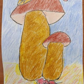 Гриб-грибочек