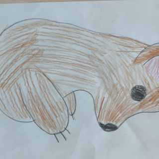 "Миша косолапый"