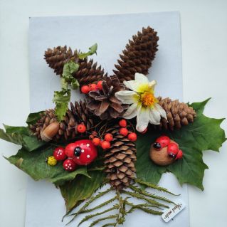 Осеннее настроение