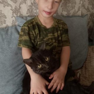 «Мой пушистый друг»