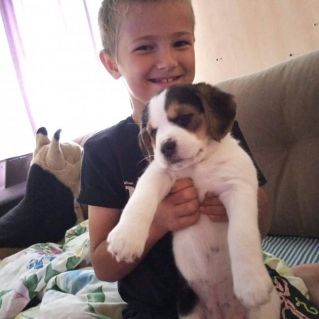 Лучший друг