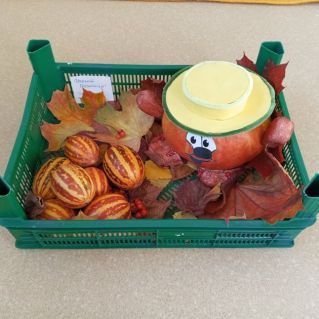 "Урожай Потапыча"