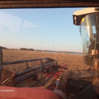 Урожайная пора