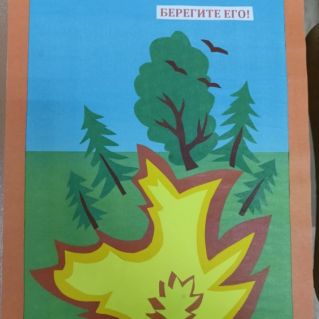 Лес -наше богатство