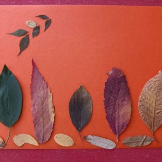 Осенний лес