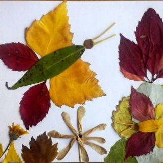 "Сказочная полянка"