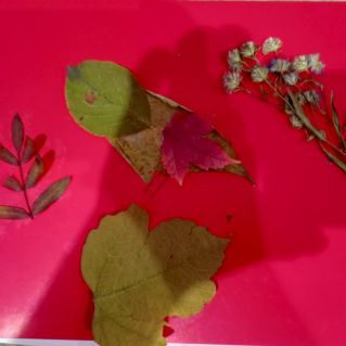 Перелётные птицы