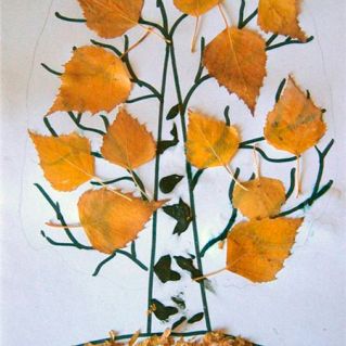 "Осенняя  березка"