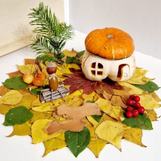 Уютный  домик  на  полянке