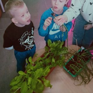 "Я познаю Мир"