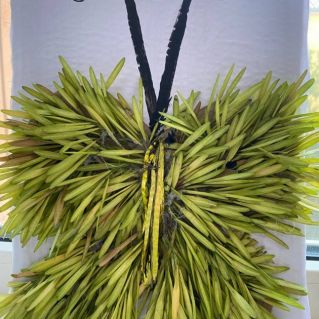 Осенняя бабочка