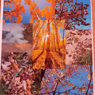 "Коллаж из осени"