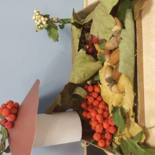 Что за чудо? Вот так гриб!