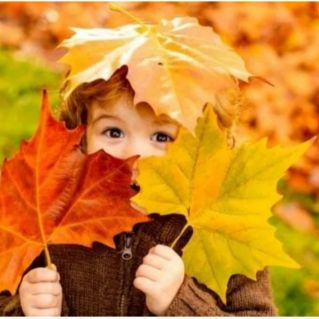 Золотая осень