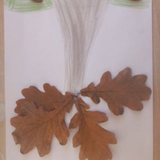 Осенний дуб