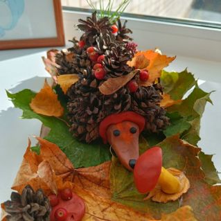 Запасы ёжика