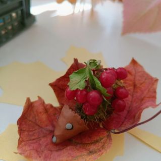 Маленький ёжик