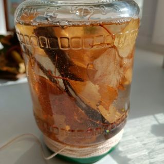 Волшебная берёзка в осеннем лесу