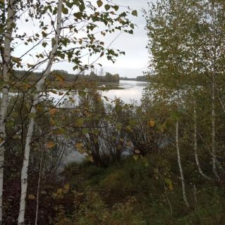 "Осенняя сказка"